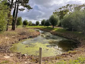 Pond and lake restoration work